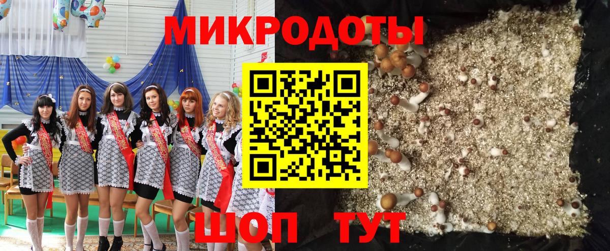 Псилоцибиновые грибы прущие грибы Вичуга